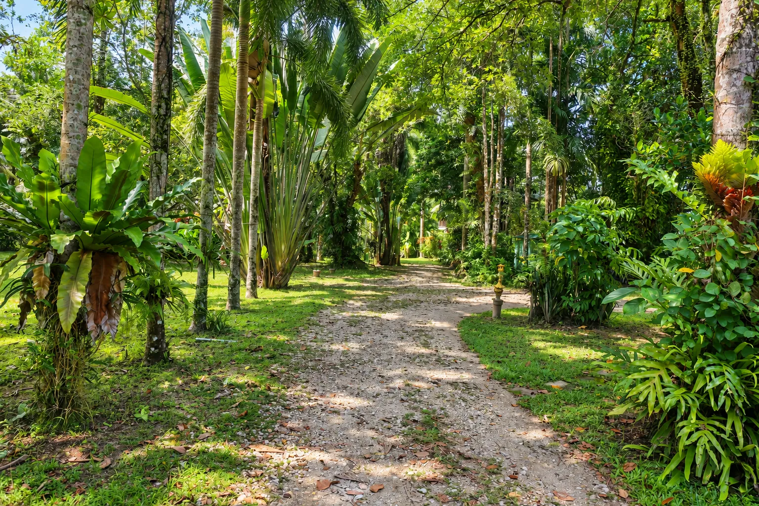 Der tropische Garten der Lake View Bungalows