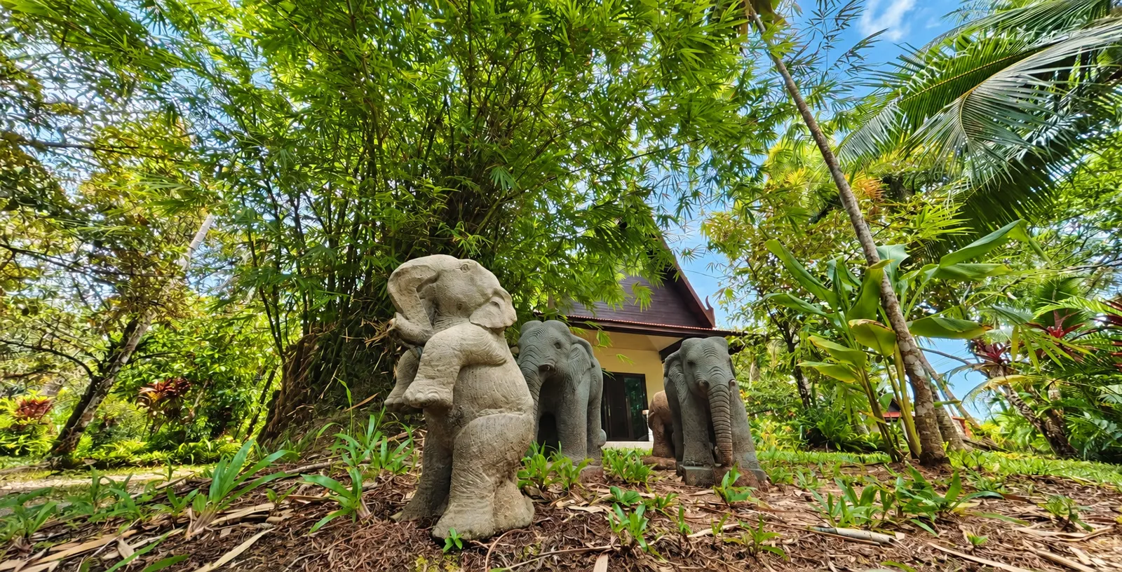 สวนเขตร้อนของ Lake View Bungalows