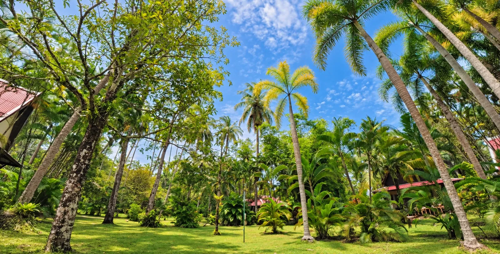 Der tropische Garten der Lake View Bungalows