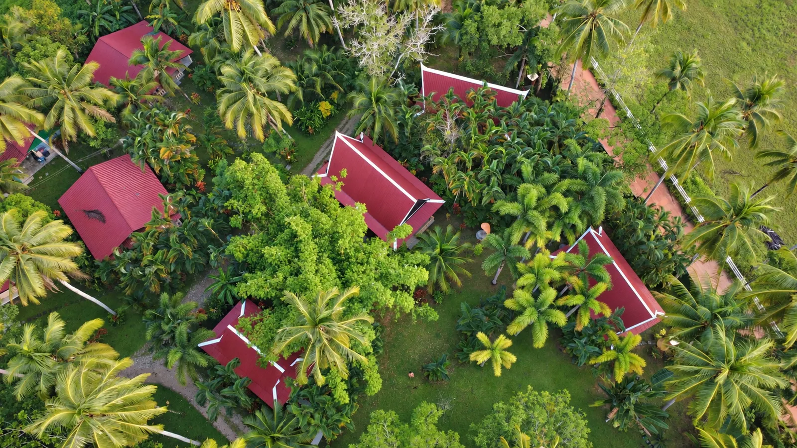 Der tropische Garten der Lake View Bungalows