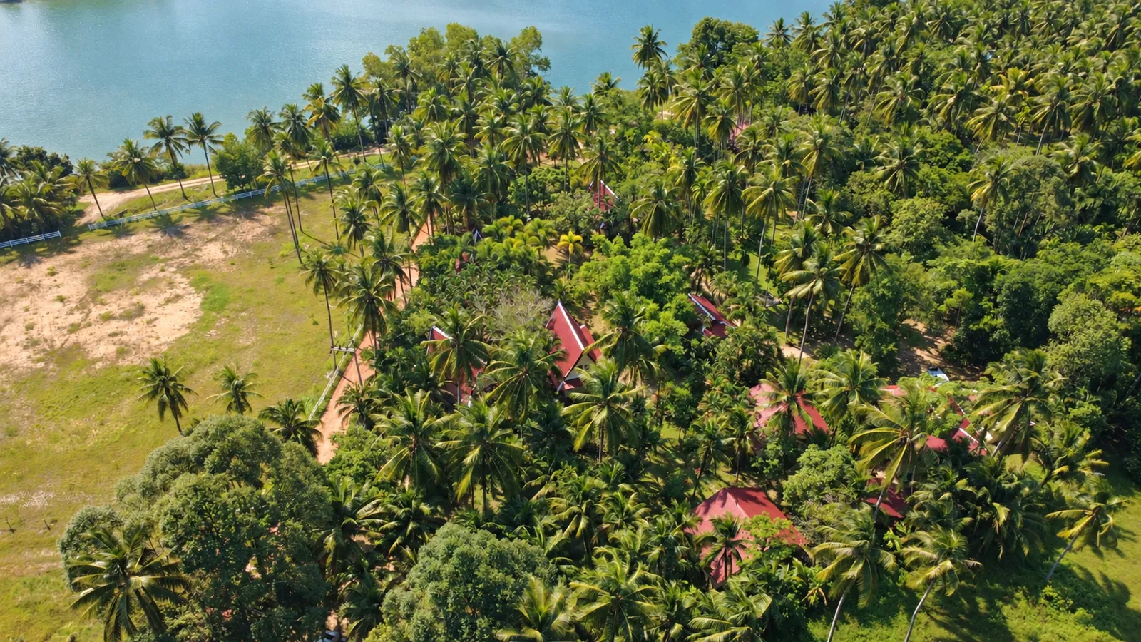 Der tropische Garten der Lake View Bungalows