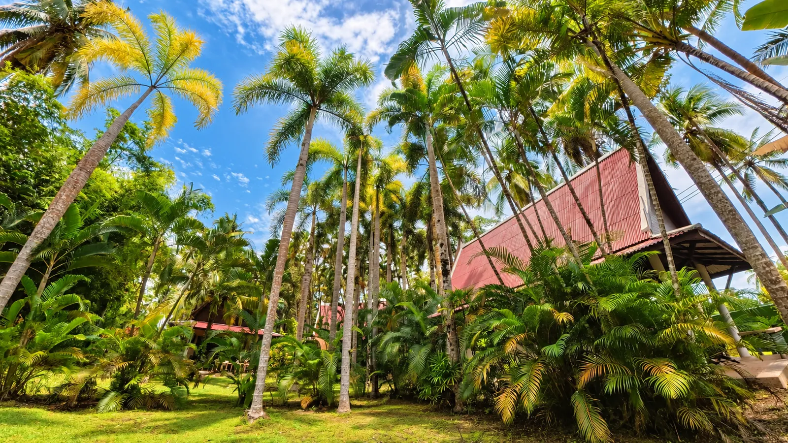 Der tropische Garten der Lake View Bungalows