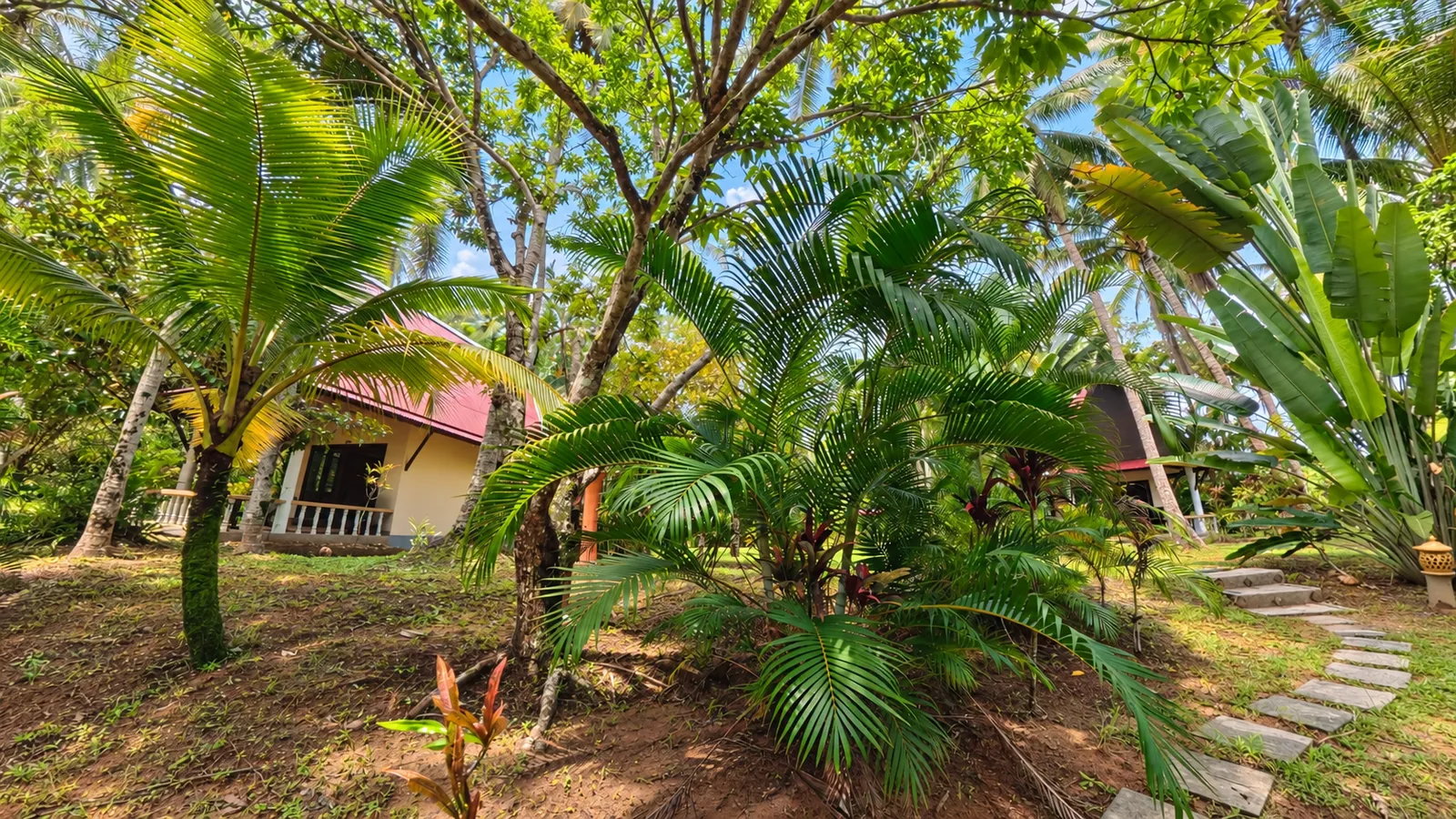 Der tropische Garten der Lake View Bungalows