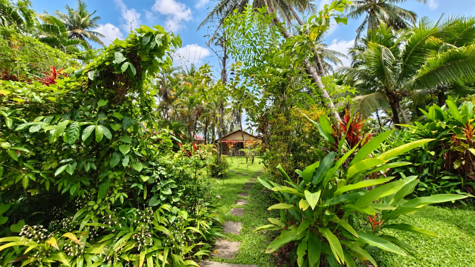 Der tropische Garten der Lake View Bungalows